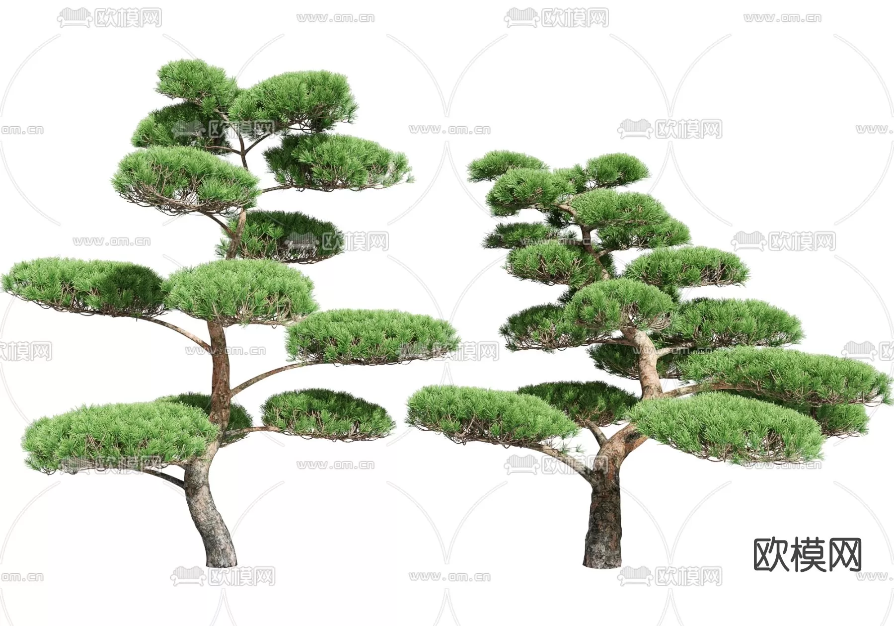 TREE – PLANTS – 3DS MAX MODELS – 073 – PRO