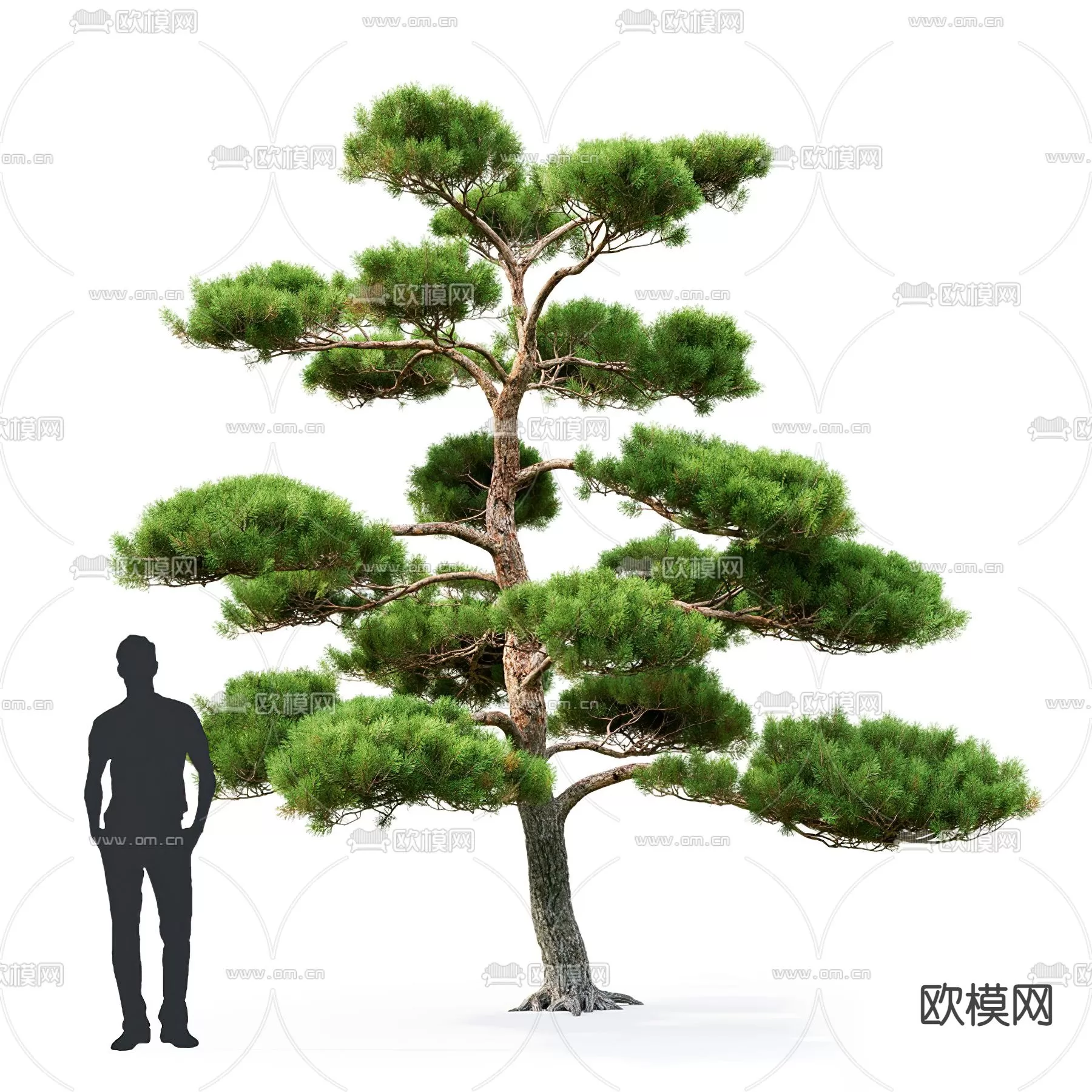 TREE – PLANTS – 3DS MAX MODELS – 128 – PRO
