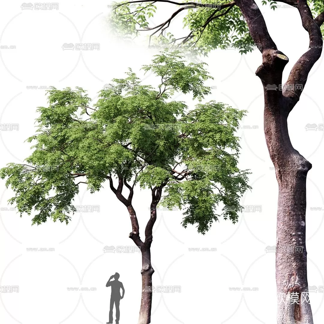 3D MODELS FREE DOWNLOAD 