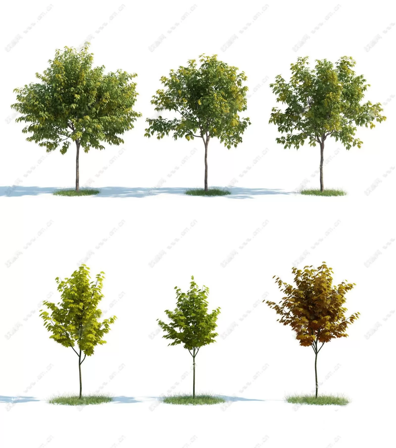 TREE – PLANTS – 3DS MAX MODELS – 188 – PRO