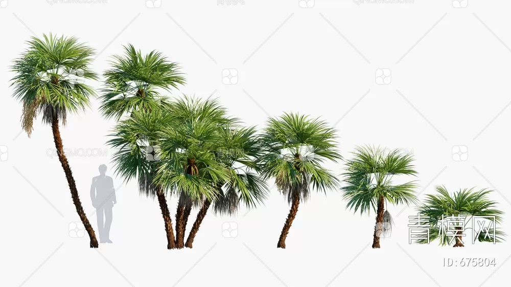 TREE – PLANTS – 3DS MAX MODELS – 238 – PRO