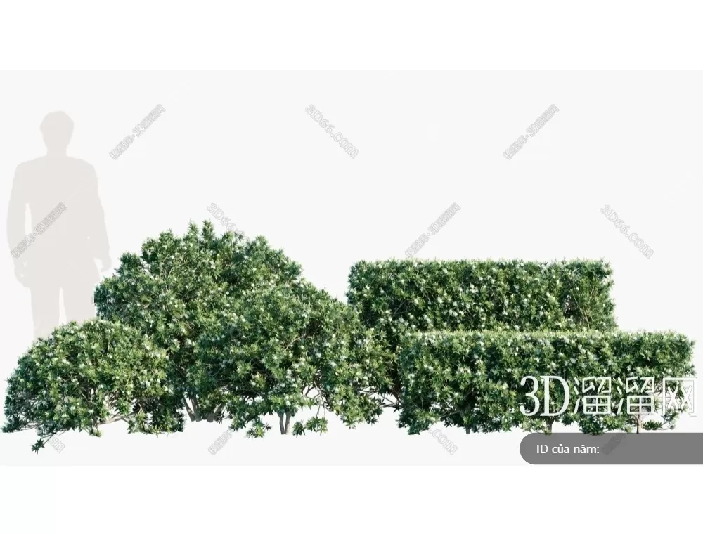 TREE – PLANTS – 3DS MAX MODELS – 304 – PRO