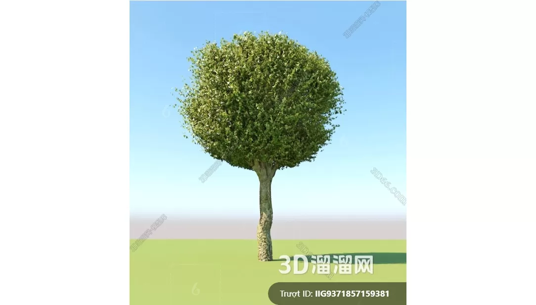 3D MODELS FREE DOWNLOAD 