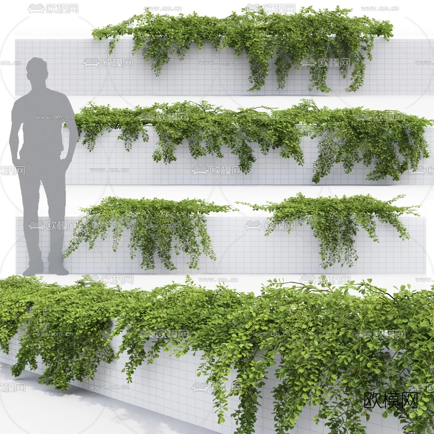 TREE – PLANTS – 3DS MAX MODELS – 017 – PRO