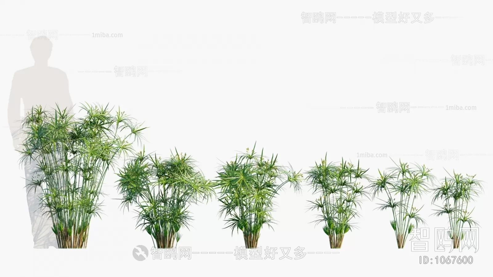 TREE – PLANTS – 3DS MAX MODELS – 043 – PRO