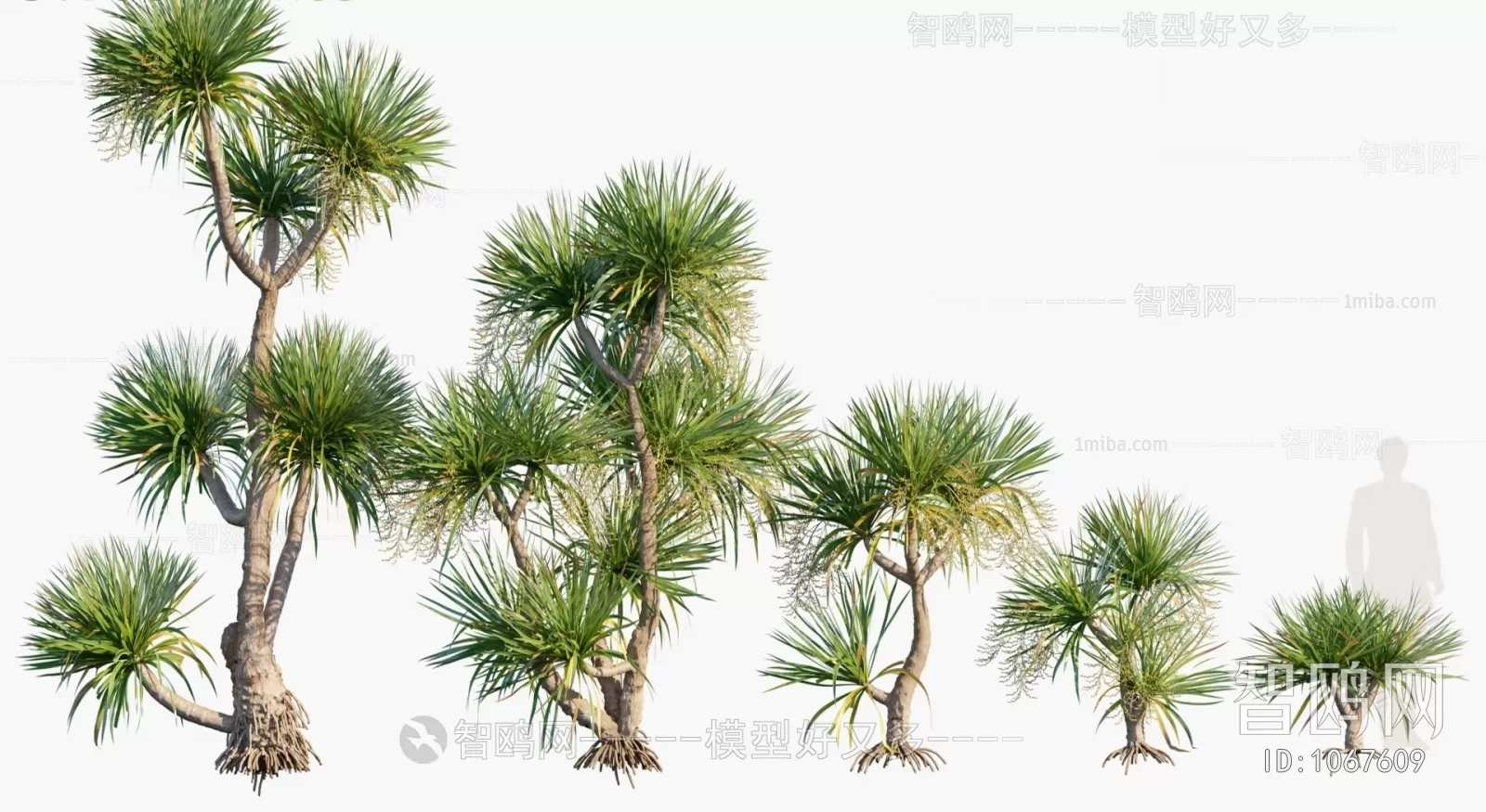 TREE – PLANTS – 3DS MAX MODELS – 047 – PRO