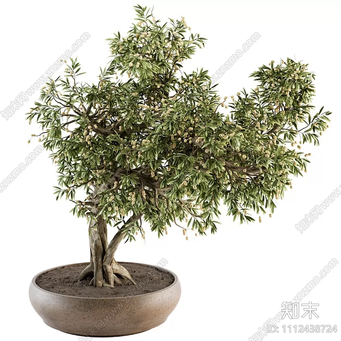 3D MODELS FREE DOWNLOAD 