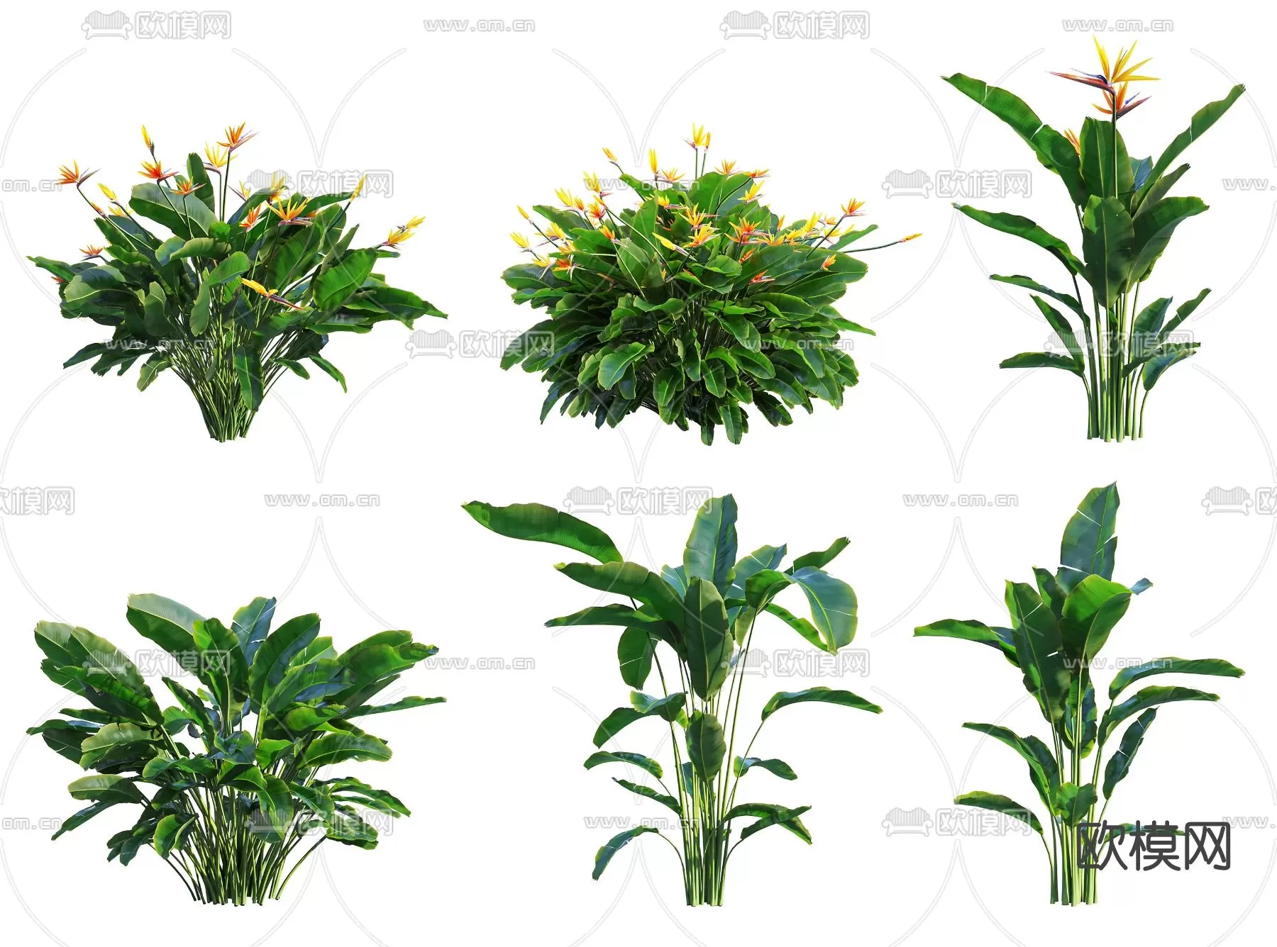 TREE – PLANTS – 3DS MAX MODELS – 062 – PRO