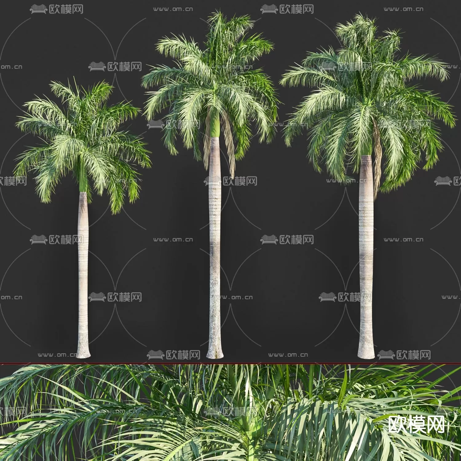 TREE – PLANTS – 3DS MAX MODELS – 065 – PRO