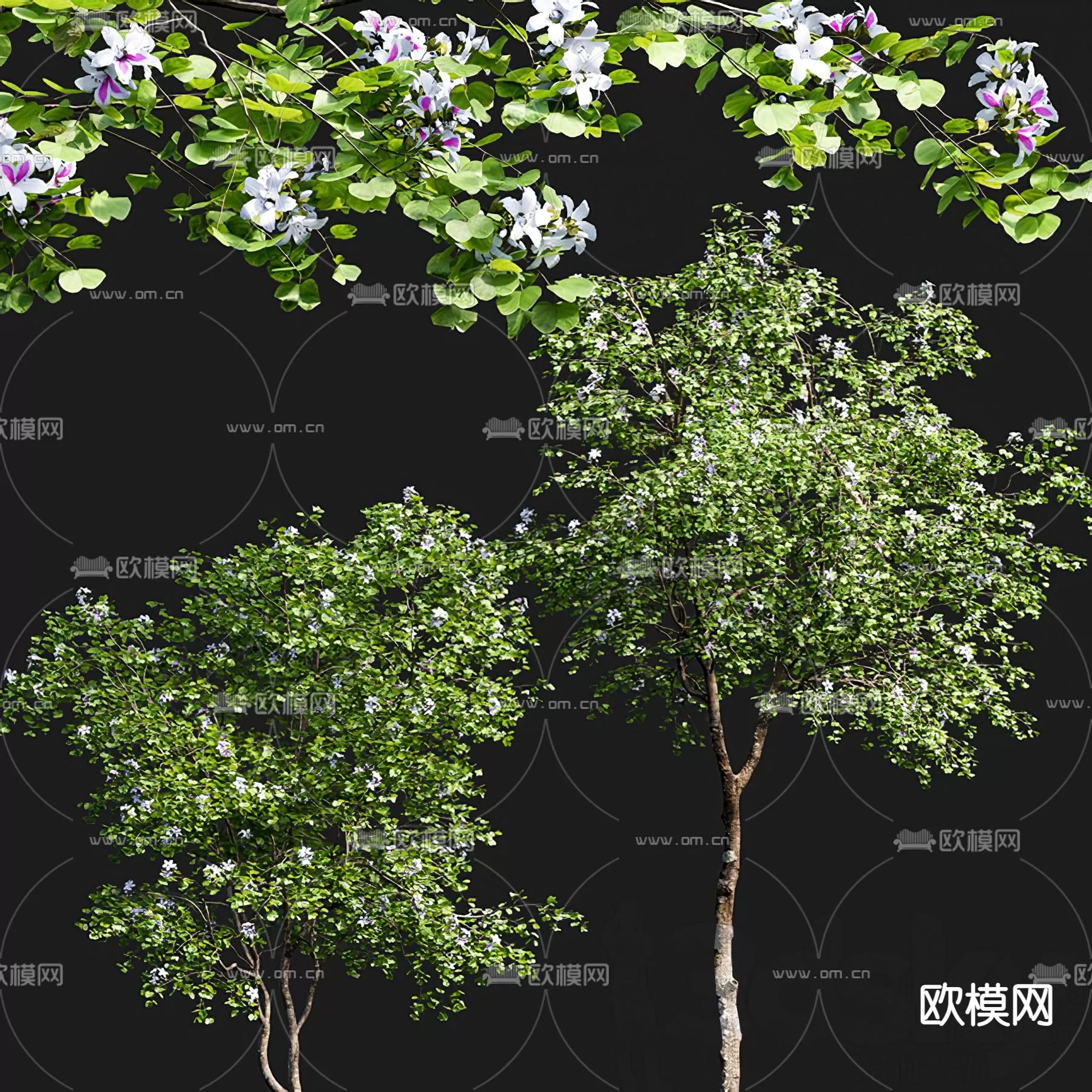 TREE – PLANTS – 3DS MAX MODELS – 068 – PRO