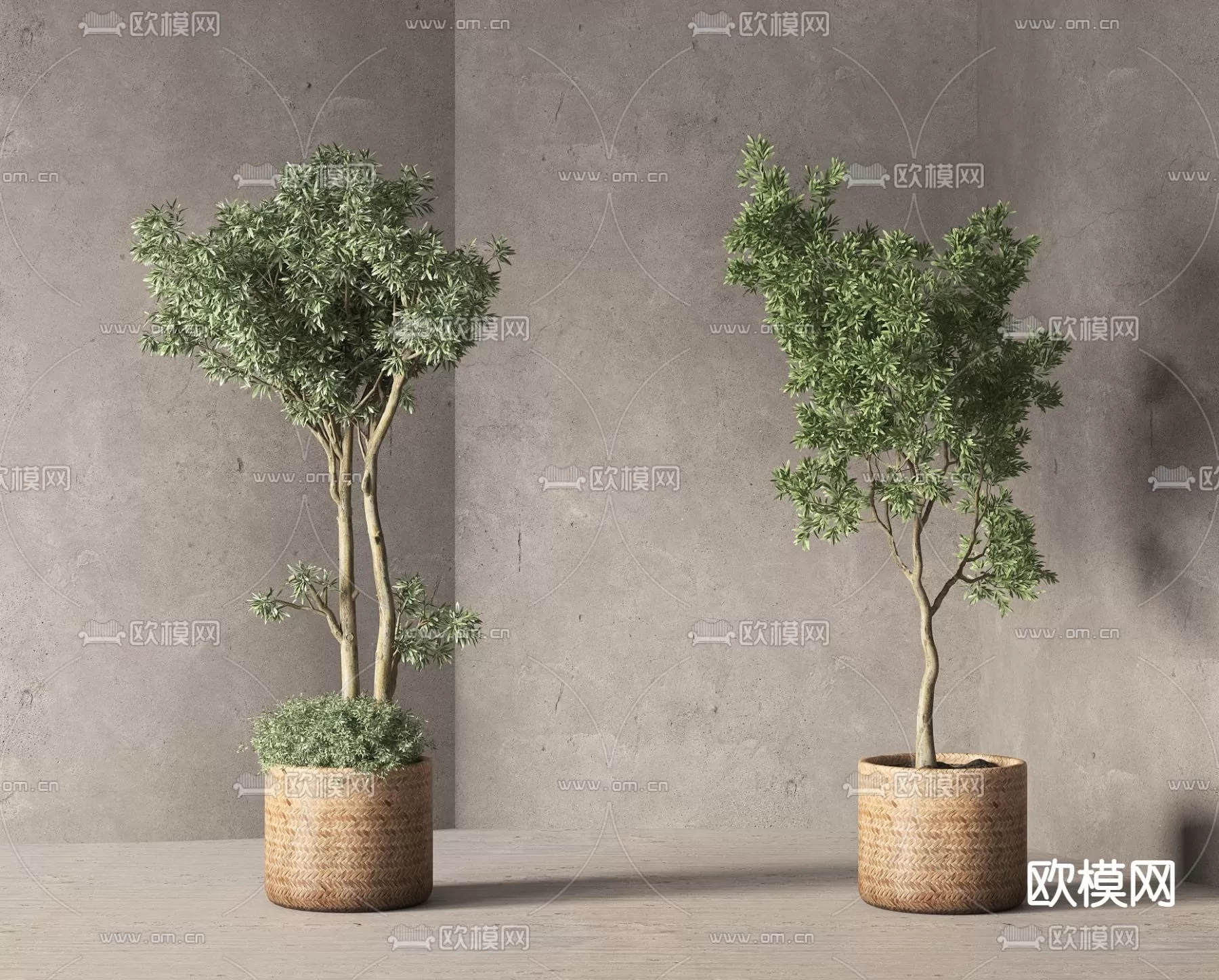TREE – PLANTS – 3DS MAX MODELS – 084 – PRO