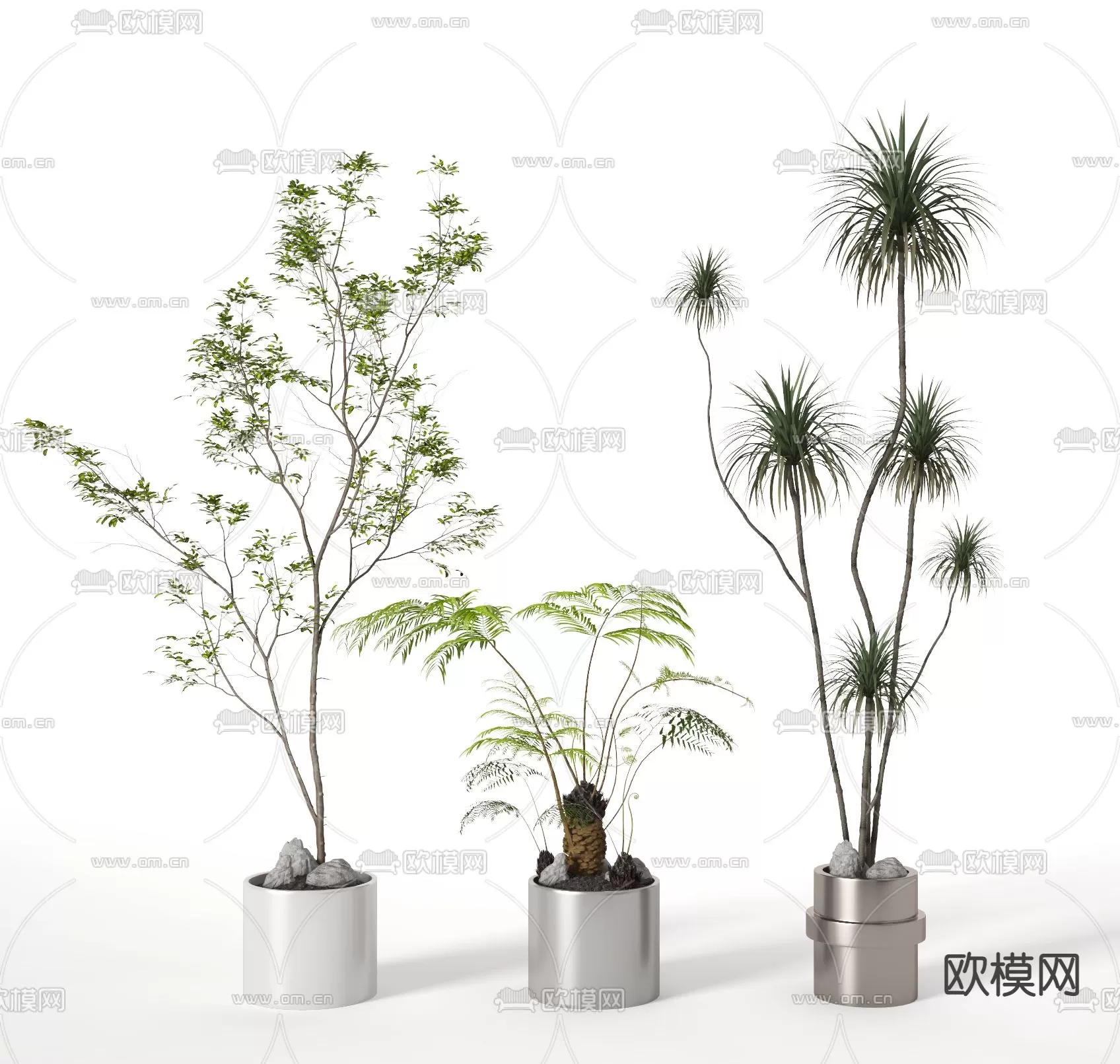 3D MODELS FREE DOWNLOAD 