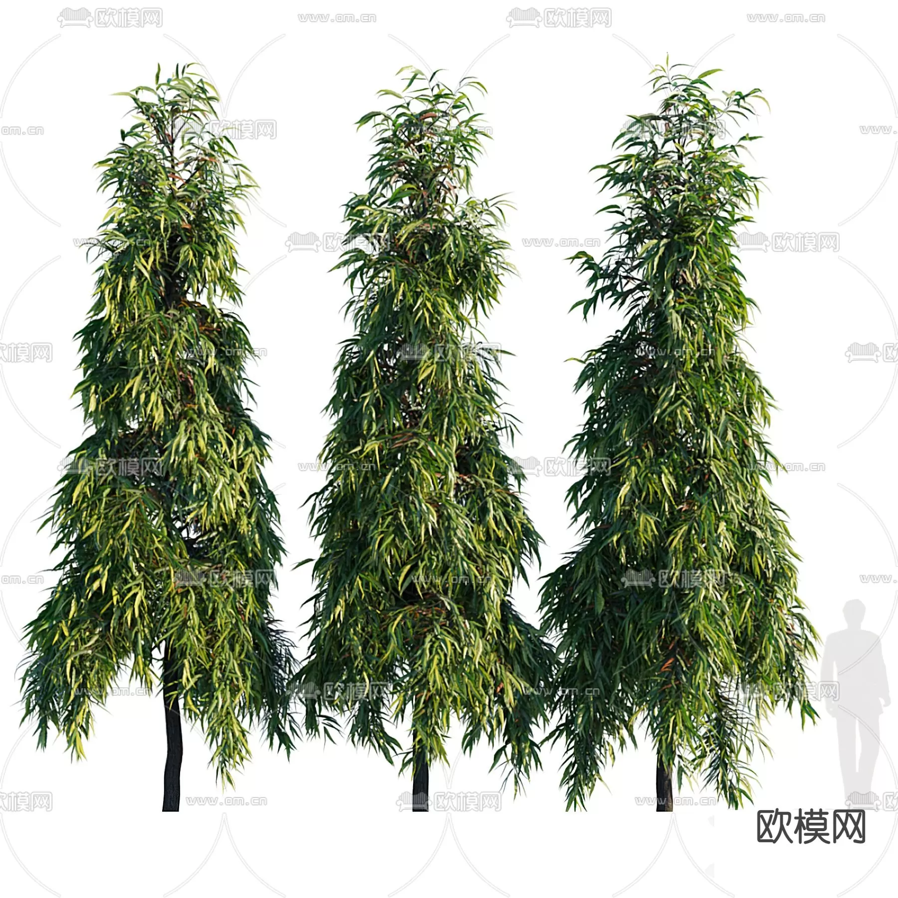 TREE – PLANTS – 3DS MAX MODELS – 114 – PRO