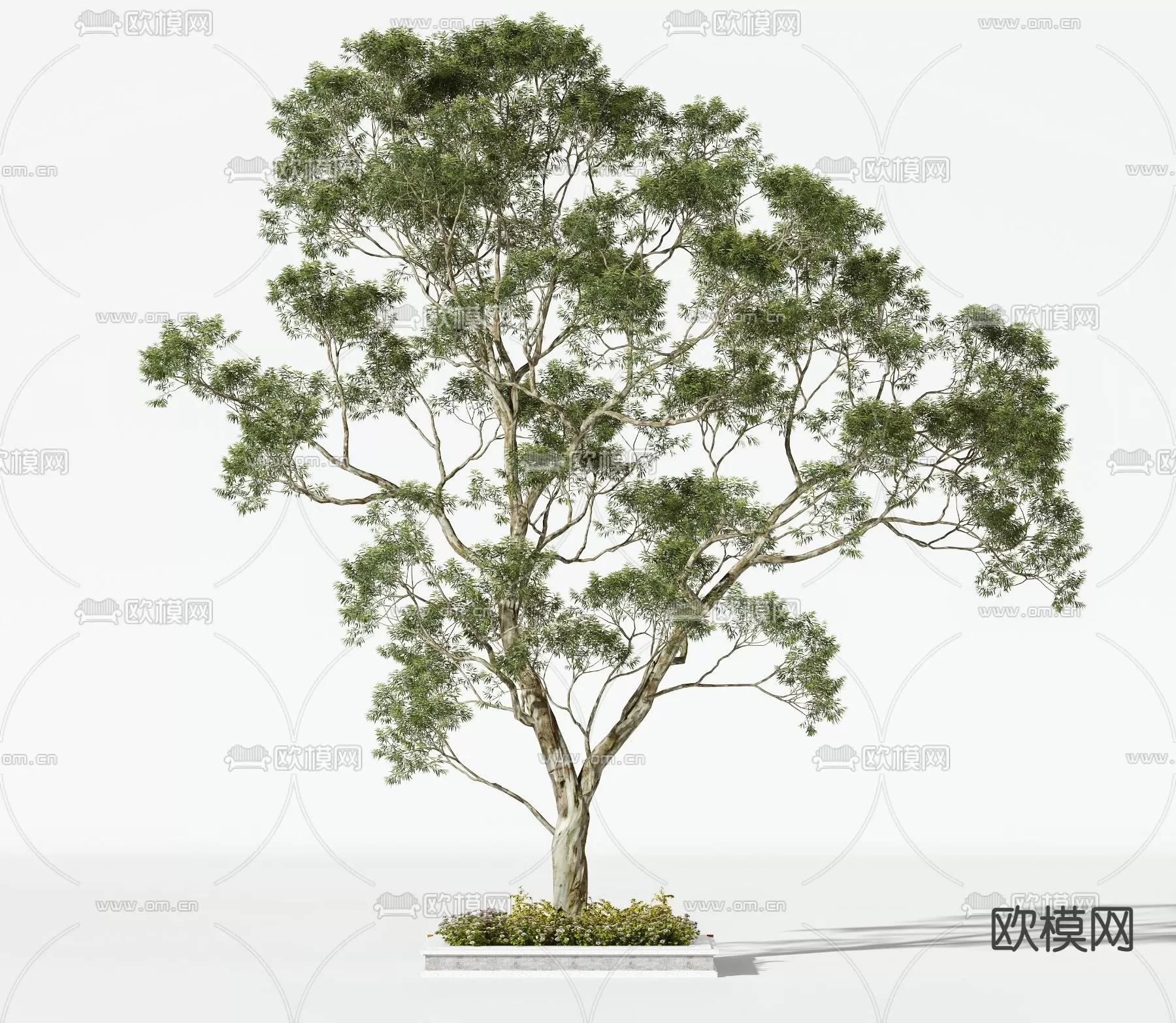 3D MODELS FREE DOWNLOAD 