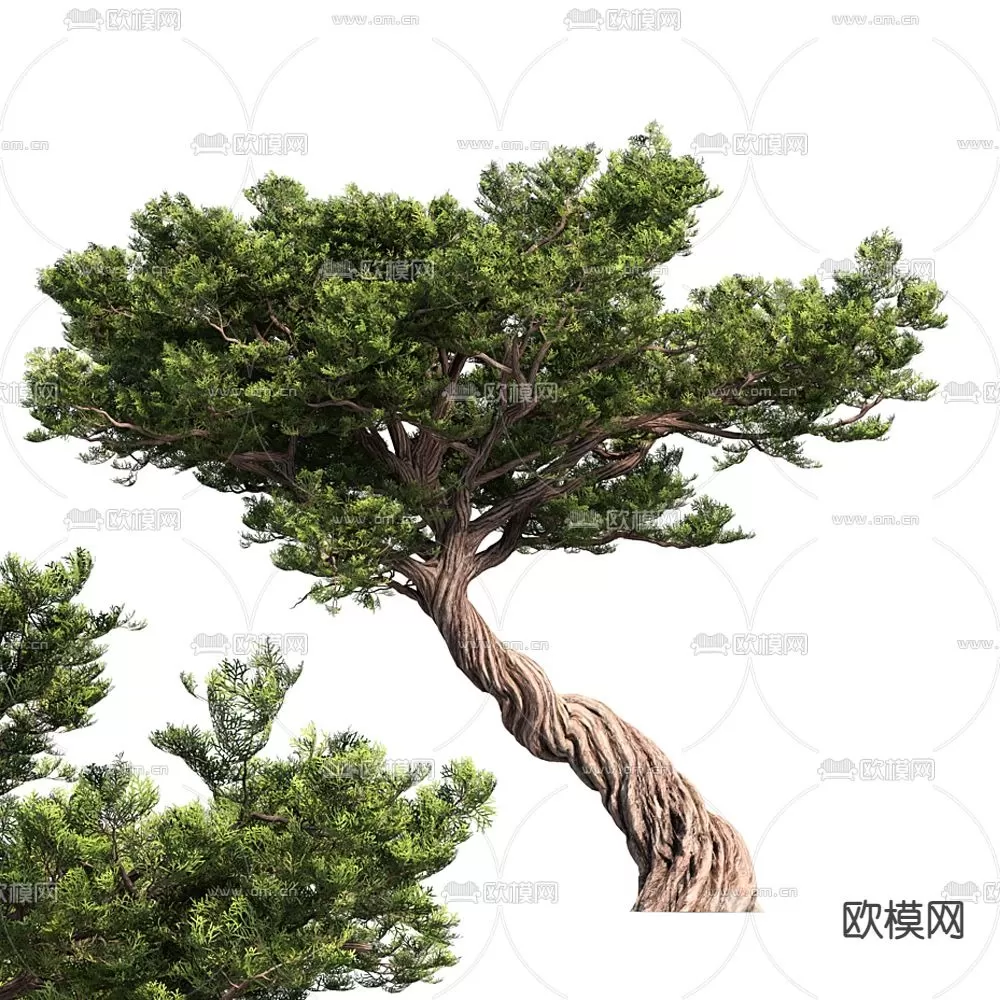 3D MODELS FREE DOWNLOAD 