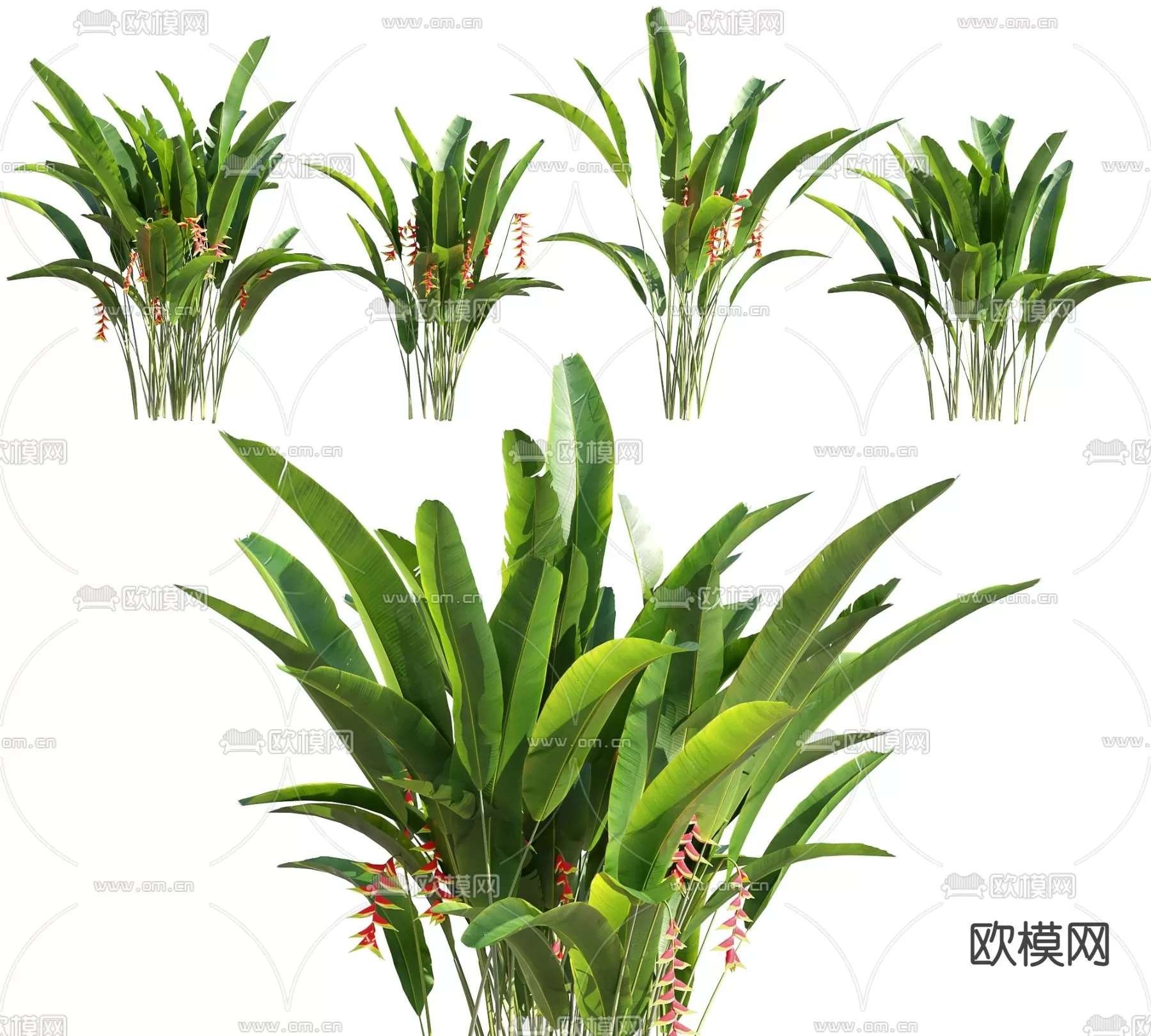 3D MODELS FREE DOWNLOAD 