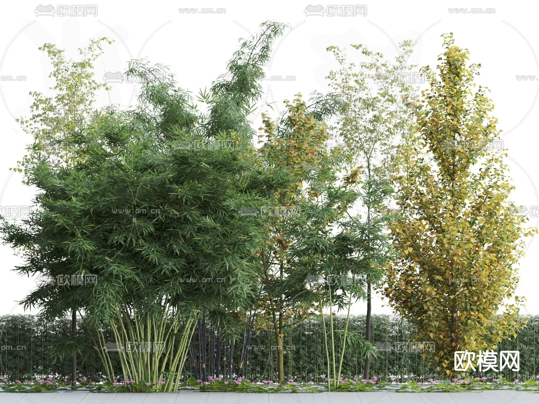 TREE – PLANTS – 3DS MAX MODELS – 150 – PRO