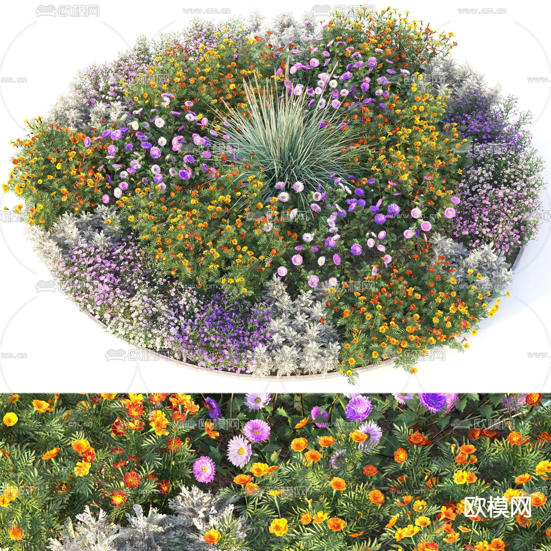 3D MODELS FREE DOWNLOAD 