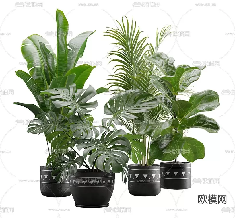 3D MODELS FREE DOWNLOAD 