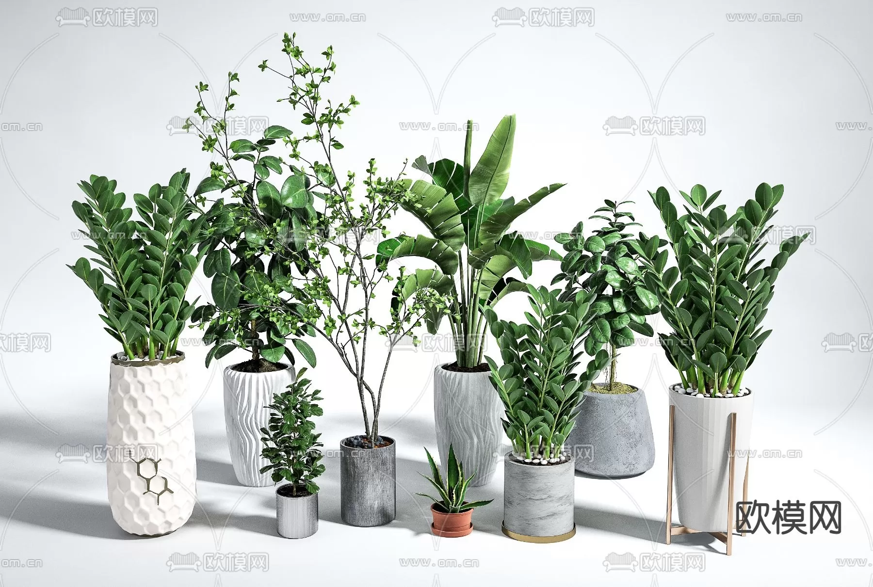 TREE – PLANTS – 3DS MAX MODELS – 156 – PRO
