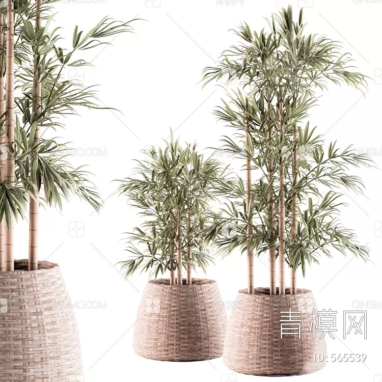 3D MODELS FREE DOWNLOAD 