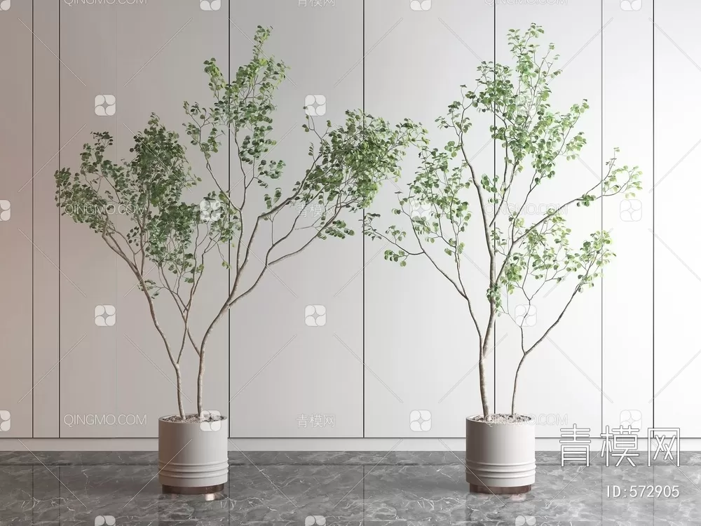 TREE – PLANTS – 3DS MAX MODELS – 219 – PRO