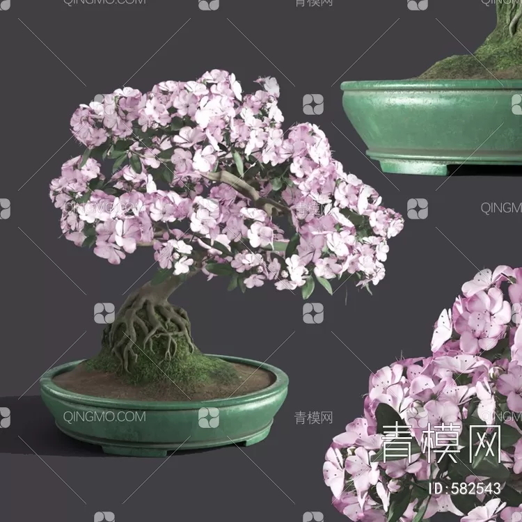 TREE – PLANTS – 3DS MAX MODELS – 220 – PRO