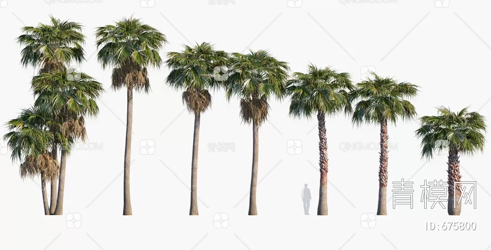 TREE – PLANTS – 3DS MAX MODELS – 237 – PRO