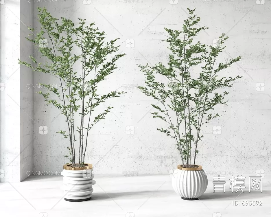 3D MODELS FREE DOWNLOAD 