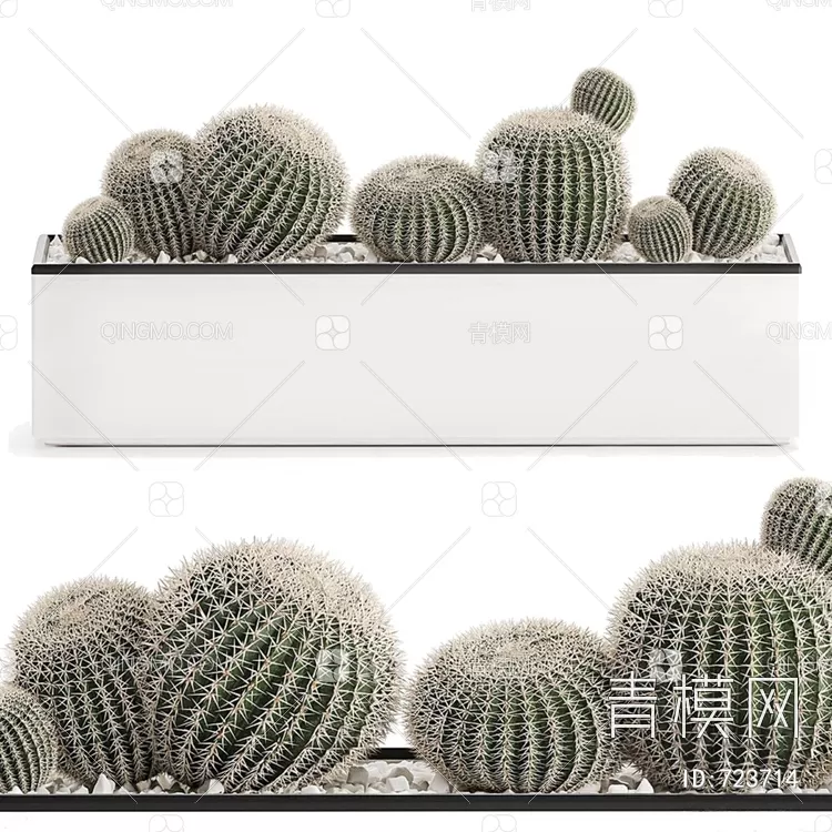 TREE – PLANTS – 3DS MAX MODELS – 266 – PRO