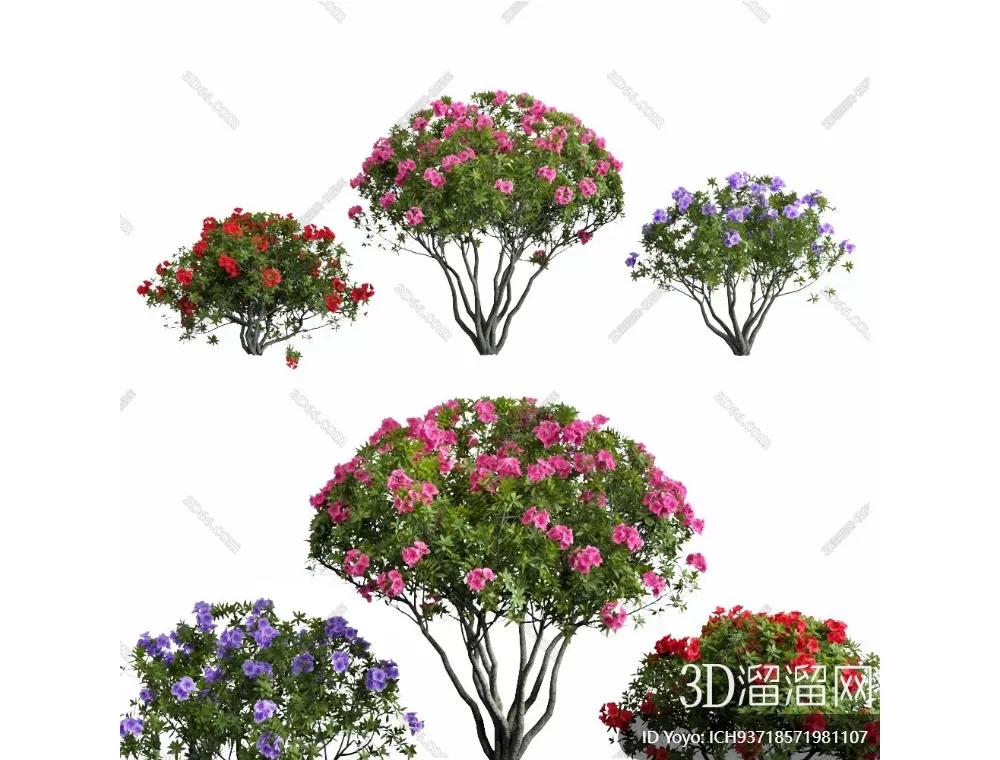 TREE – PLANTS – 3DS MAX MODELS – 305 – PRO