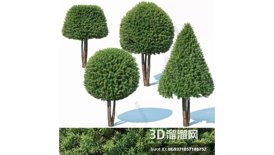 3D MODELS FREE DOWNLOAD 
