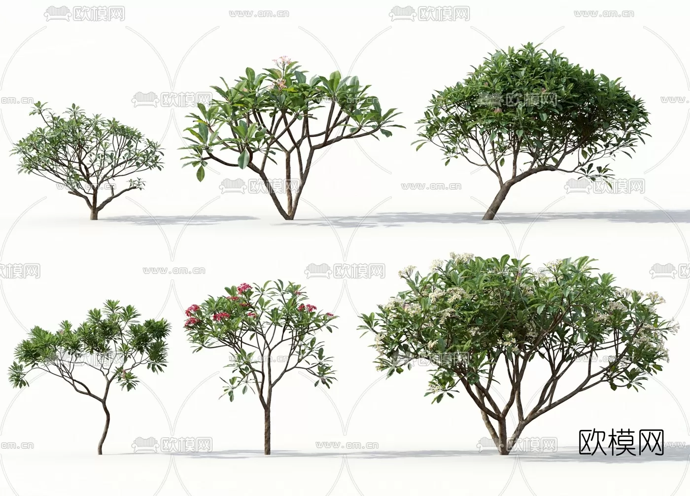 3D MODELS FREE DOWNLOAD 