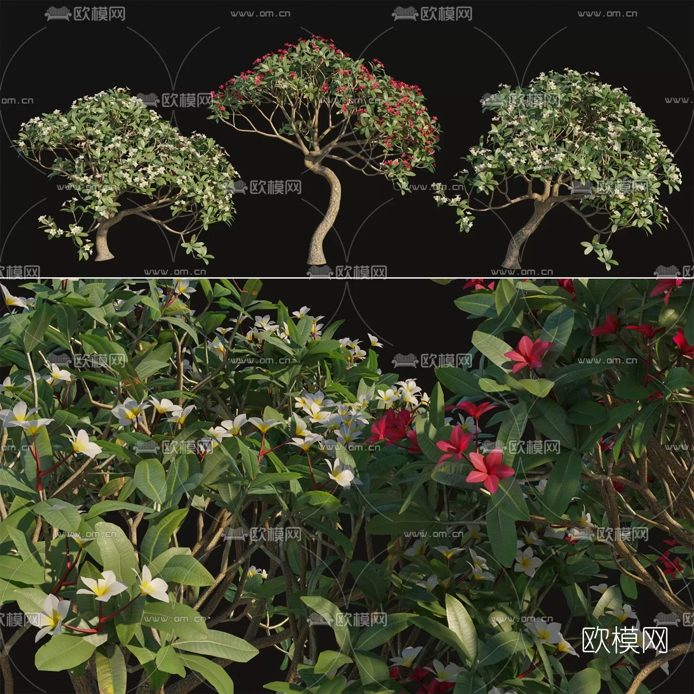 TREE – PLANTS – 3DS MAX MODELS – 035 – PRO