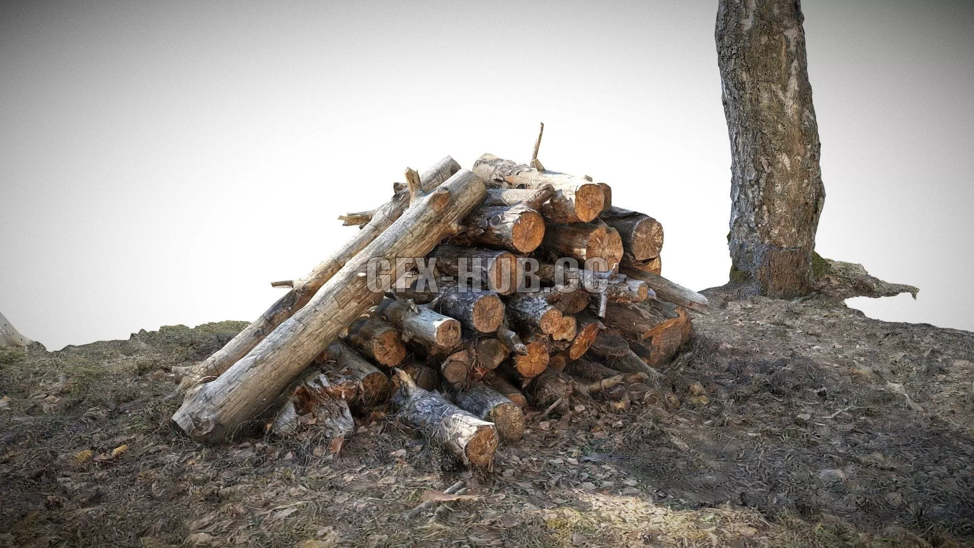 3D MODELS FREE DOWNLOAD 