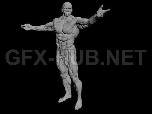 PBR Game 3D Model – Apollon Sculpture