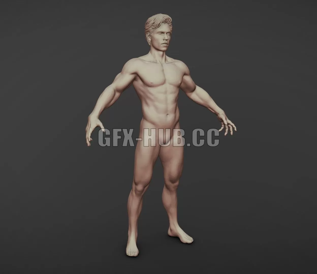 3D MODELS FREE DOWNLOAD 