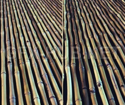 PBR Game 3D Model – Bamboo (max, tex)