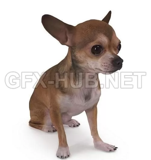 3D MODELS FREE DOWNLOAD 