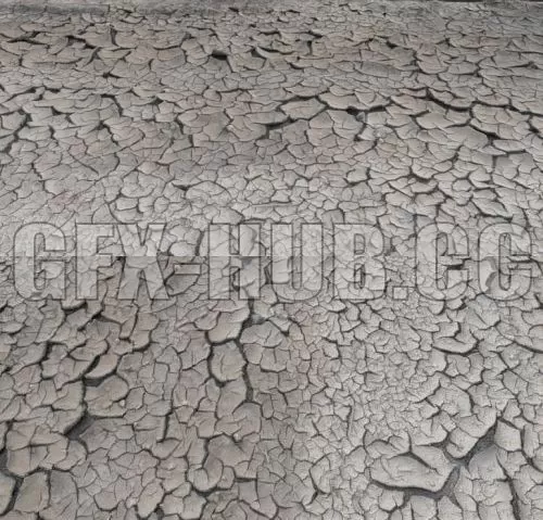 3D MODELS FREE DOWNLOAD 