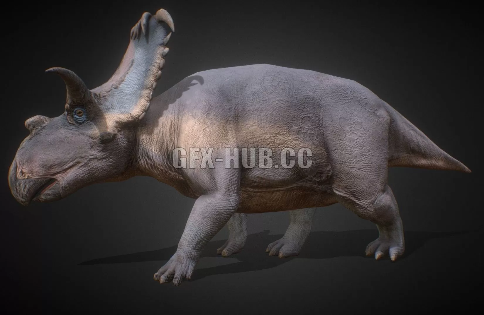 3D MODELS FREE DOWNLOAD 