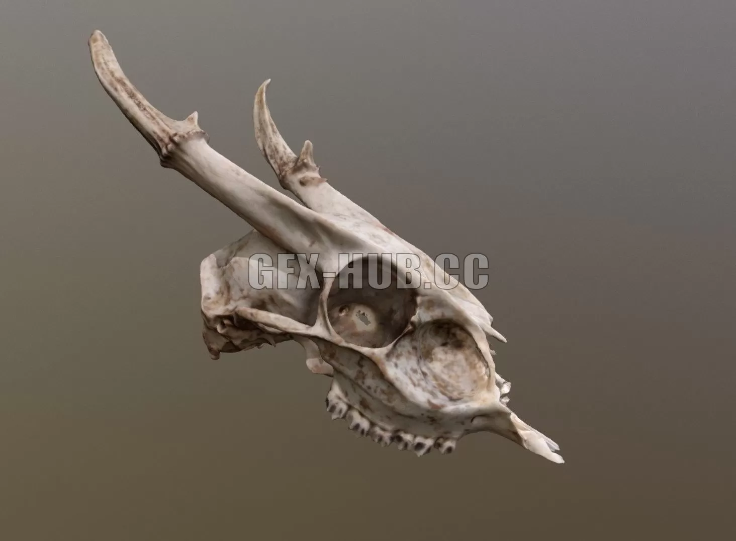 3D MODELS FREE DOWNLOAD 