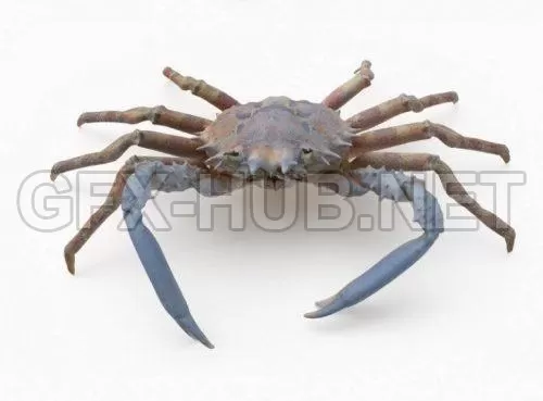 3D MODELS FREE DOWNLOAD 