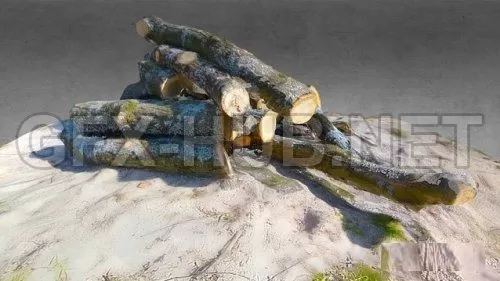 3D MODELS FREE DOWNLOAD 