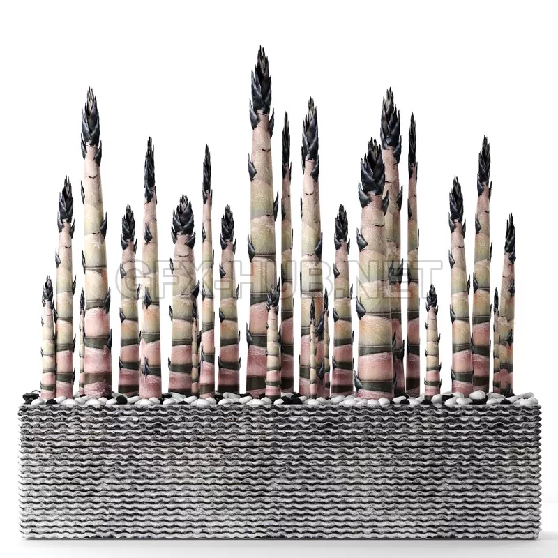 FURNITURE 3D MODELS – Bamboo Trees