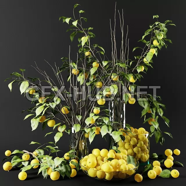 FURNITURE 3D MODELS – Bouquet of Chinese apple tree branches with yellow apples