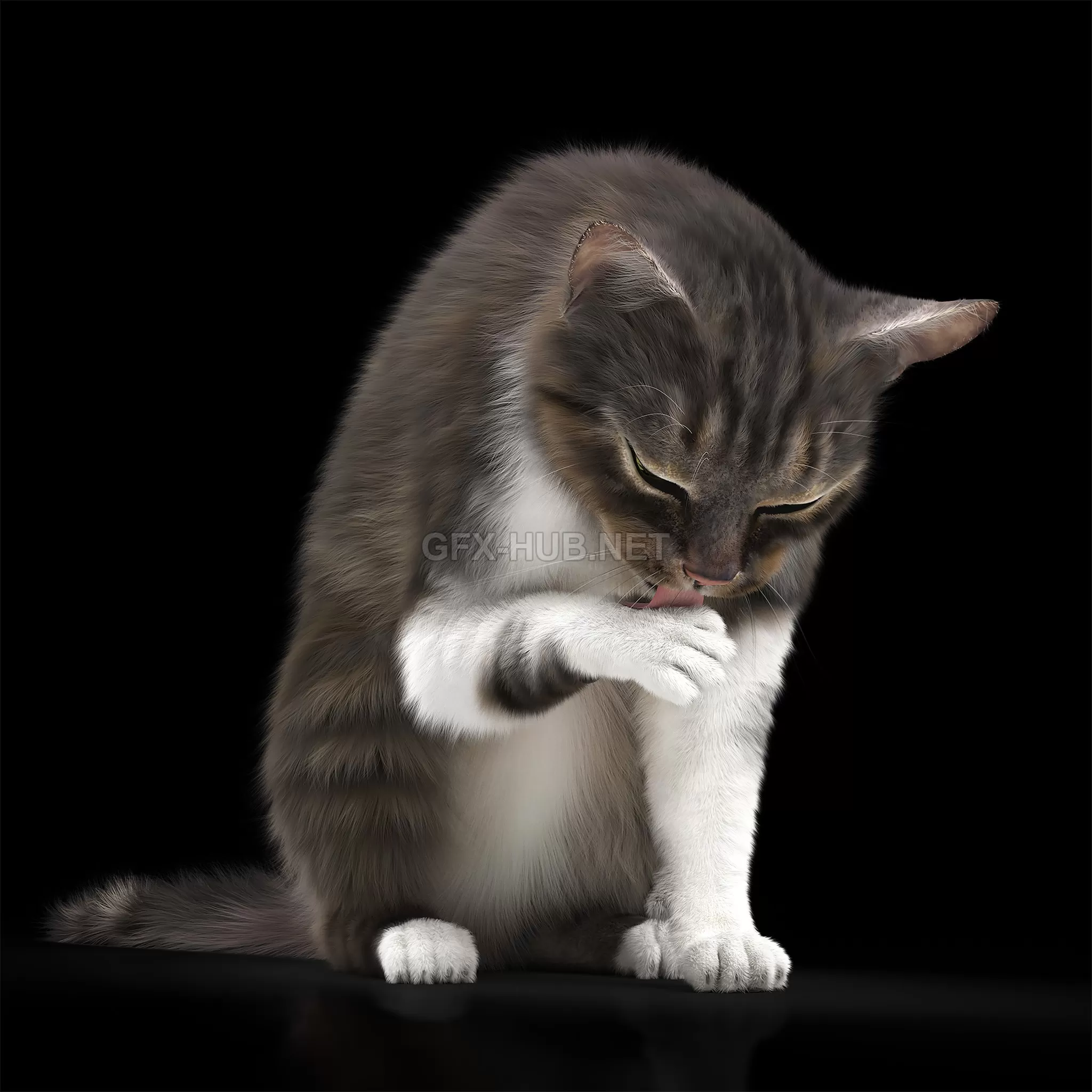 3DSKY FREE - FREE 3DS MAX MODELS