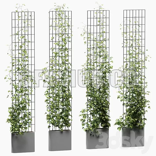 FURNITURE 3D MODELS – Ivy on the Trellis 4 Models