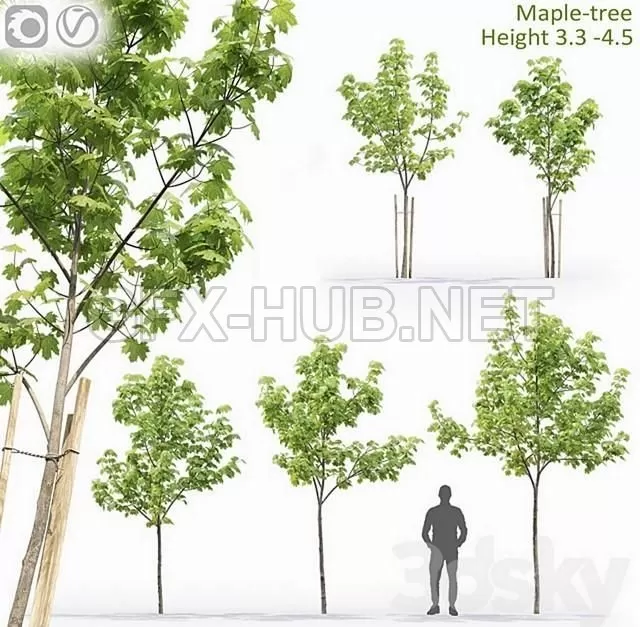 3DSKY FREE - FREE 3DS MAX MODELS