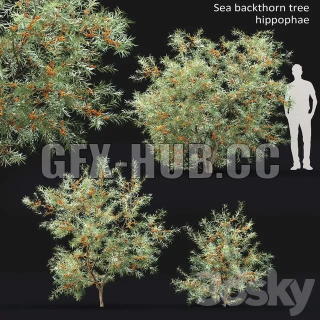3DSKY FREE - FREE 3DS MAX MODELS